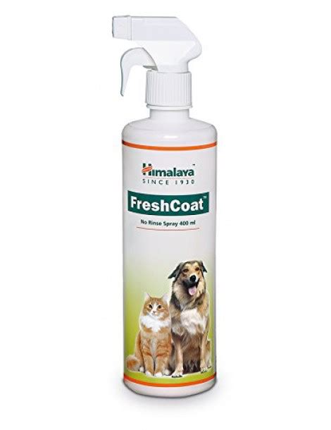 The Magic Touch: How Grooming Sprays Can Improve Your Bond with Your Pet